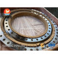 ASTM A240 F904L/ UNS N08904 Flanges de aço inoxidável